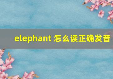 elephant 怎么读正确发音